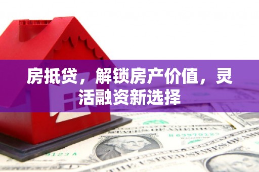 海原房抵贷，解锁房产价值，灵活融资新选择