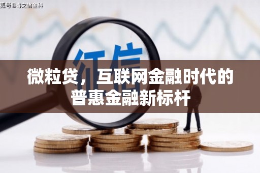 海原微粒贷，互联网金融时代的普惠金融新标杆
