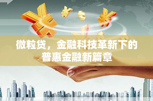 海原微粒贷，金融科技革新下的普惠金融新篇章