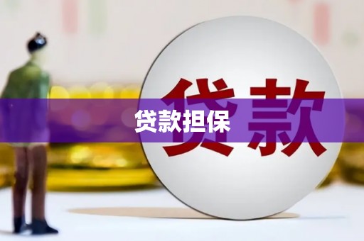 海原贷款担保