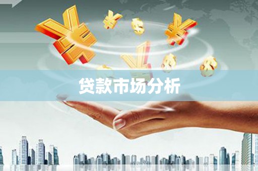 海原贷款市场分析