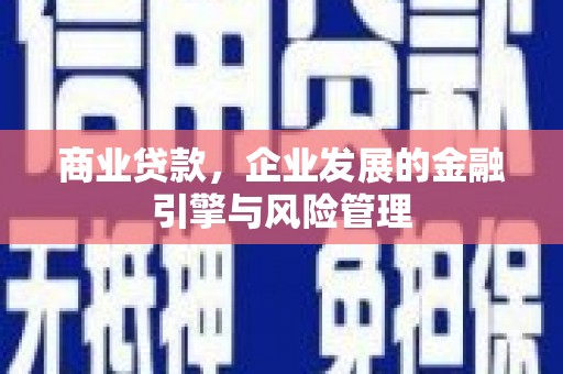 海原商业贷款，企业发展的金融引擎与风险管理