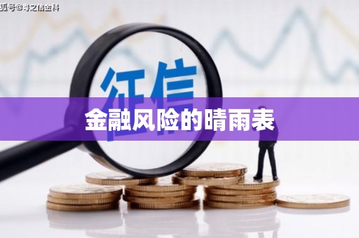 海原金融风险的晴雨表