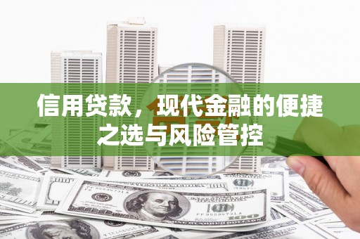 海原信用贷款，现代金融的便捷之选与风险管控