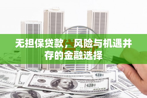 海原无担保贷款，风险与机遇并存的金融选择