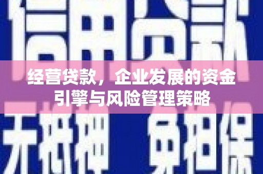 海原经营贷款，企业发展的资金引擎与风险管理策略