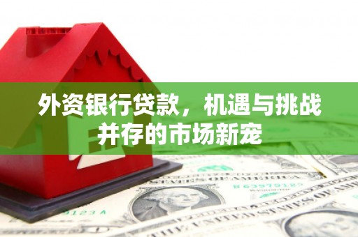 海原外资银行贷款，机遇与挑战并存的市场新宠