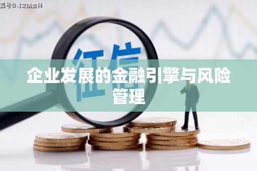 海原企业发展的金融引擎与风险管理