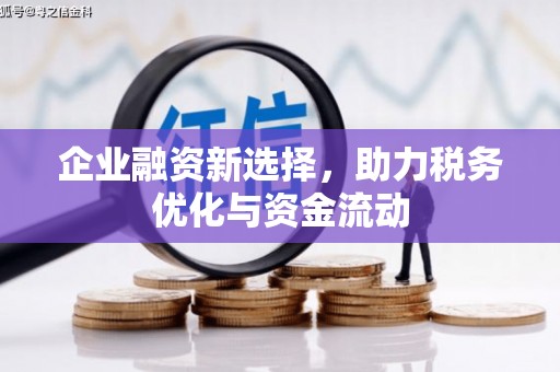海原企业融资新选择，助力税务优化与资金流动