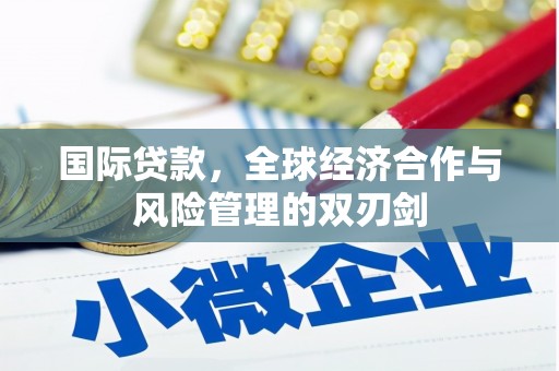 海原国际贷款，全球经济合作与风险管理的双刃剑