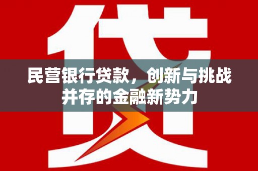 海原民营银行贷款，创新与挑战并存的金融新势力