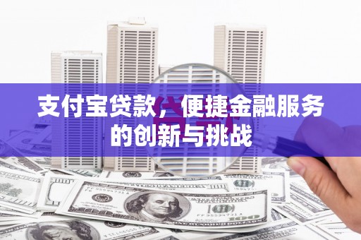 海原支付宝贷款，便捷金融服务的创新与挑战