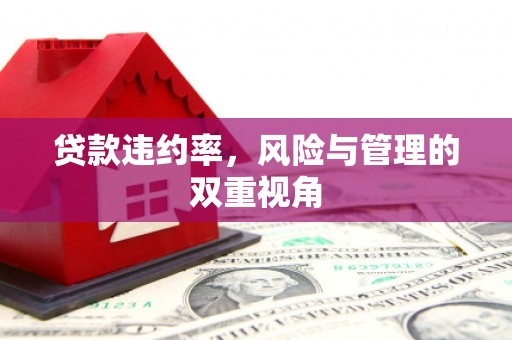 海原贷款违约率，风险与管理的双重视角