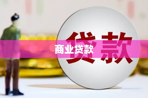 海原商业贷款