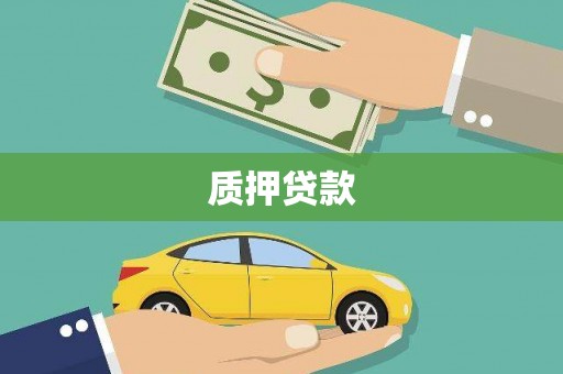 海原质押贷款