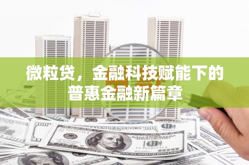 海原微粒贷，金融科技赋能下的普惠金融新篇章