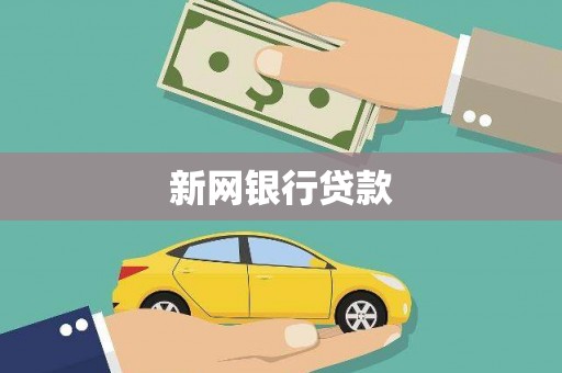 海原新网银行贷款