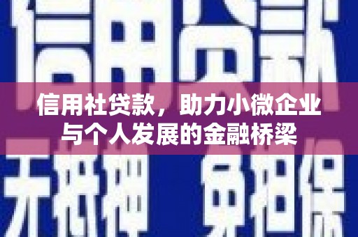 海原信用社贷款，助力小微企业与个人发展的金融桥梁