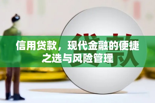 海原信用贷款，现代金融的便捷之选与风险管理