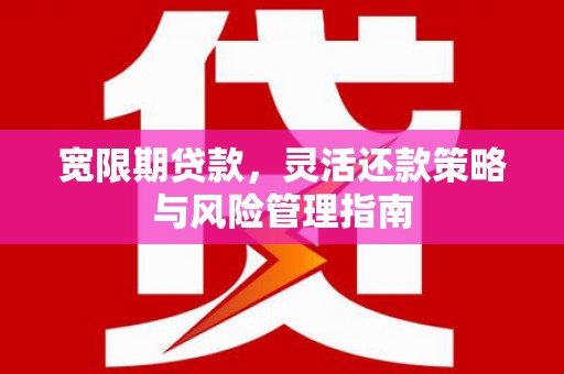 海原宽限期贷款，灵活还款策略与风险管理指南
