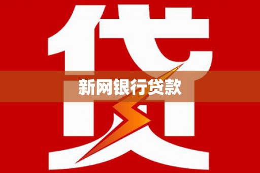 海原新网银行贷款