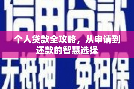 海原个人贷款全攻略，从申请到还款的智慧选择