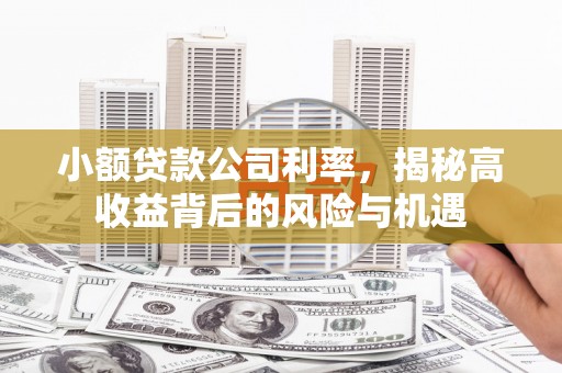 海原小额贷款公司利率，揭秘高收益背后的风险与机遇