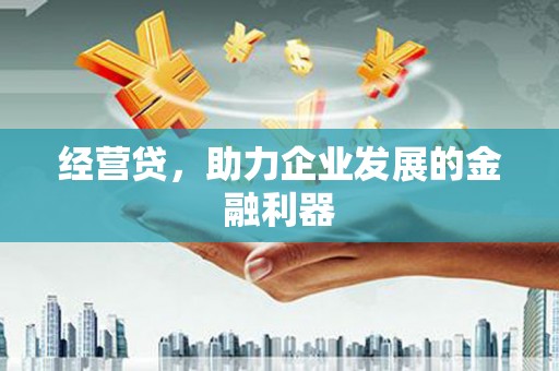 海原经营贷，助力企业发展的金融利器