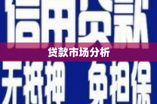海原贷款市场分析