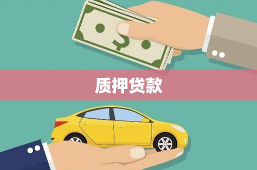 海原质押贷款