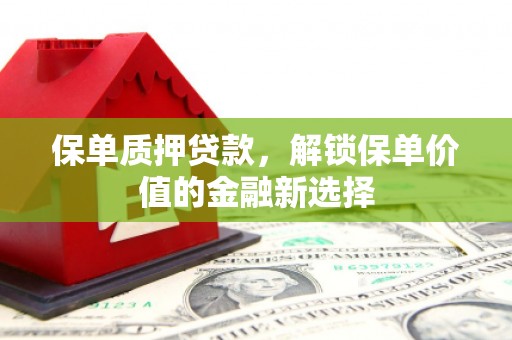 海原保单质押贷款，解锁保单价值的金融新选择