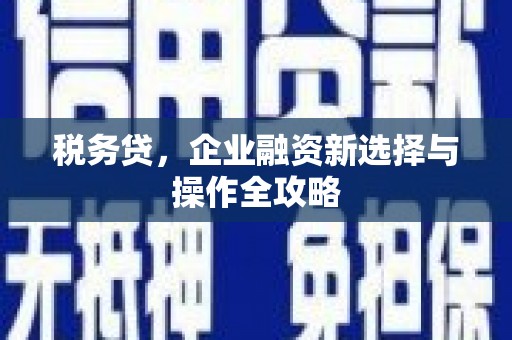 海原税务贷，企业融资新选择与操作全攻略