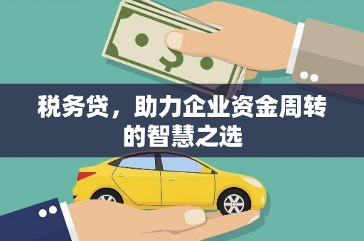 海原税务贷，助力企业资金周转的智慧之选