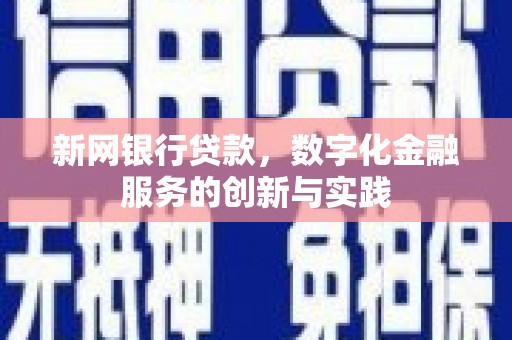 海原新网银行贷款，数字化金融服务的创新与实践