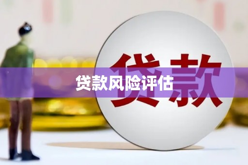 海原贷款风险评估