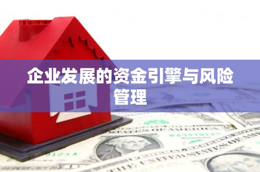海原企业发展的资金引擎与风险管理