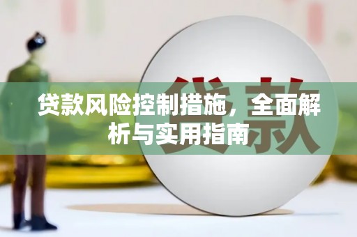 海原贷款风险控制措施，全面解析与实用指南