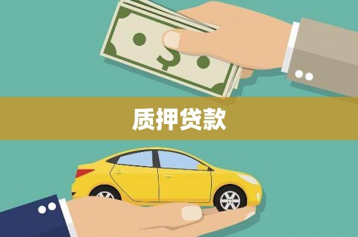 海原质押贷款