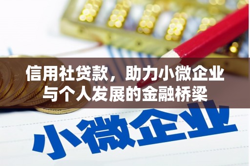 海原信用社贷款，助力小微企业与个人发展的金融桥梁