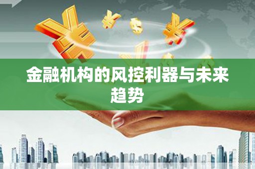 海原金融机构的风控利器与未来趋势