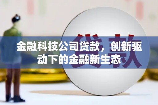 海原金融科技公司贷款，创新驱动下的金融新生态