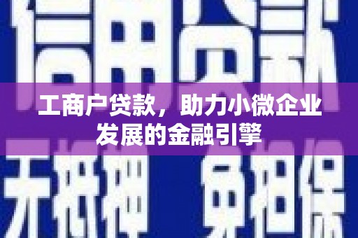海原工商户贷款，助力小微企业发展的金融引擎