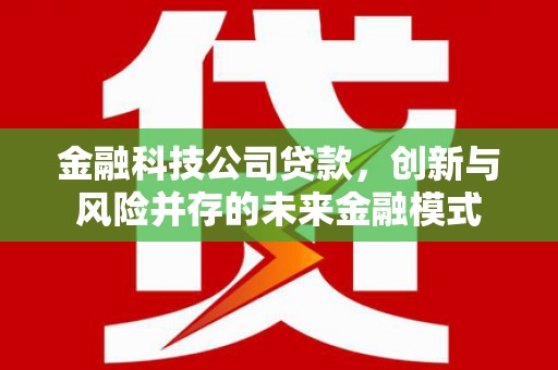 海原金融科技公司贷款，创新与风险并存的未来金融模式