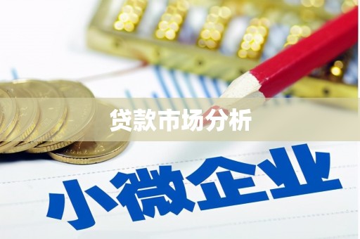 海原贷款市场分析