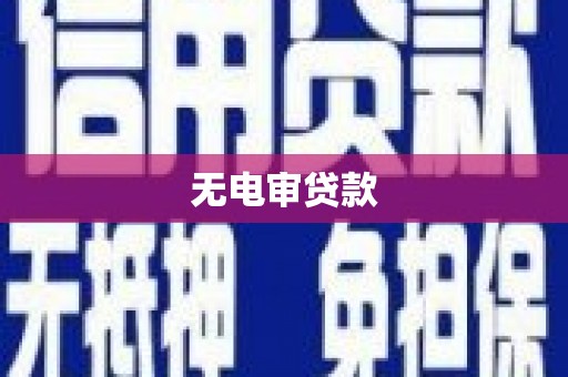 海原无电审贷款