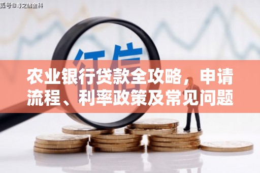 海原农业银行贷款全攻略，申请流程、利率政策及常见问题解析
