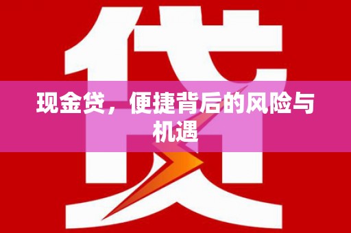 海原现金贷，便捷背后的风险与机遇