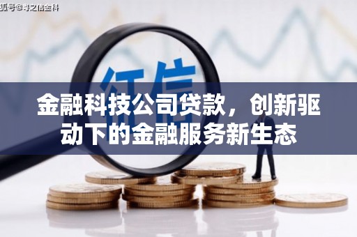 海原金融科技公司贷款，创新驱动下的金融服务新生态