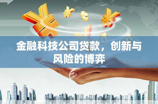 海原金融科技公司贷款，创新与风险的博弈