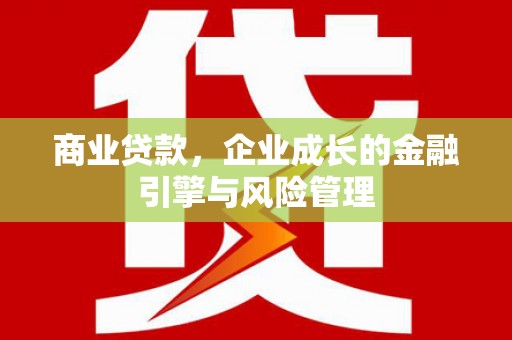 海原商业贷款，企业成长的金融引擎与风险管理